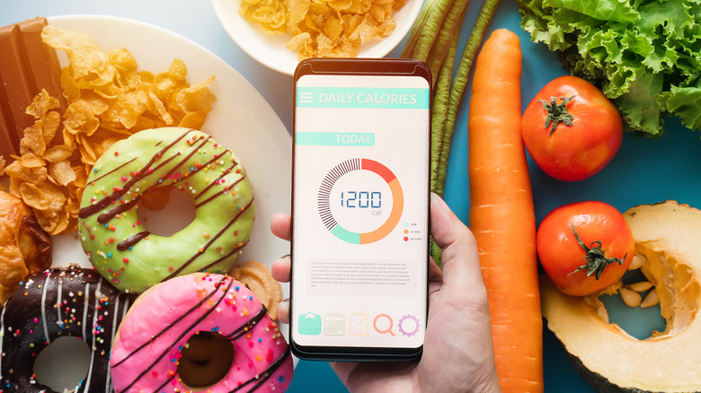 food with calorie counter app