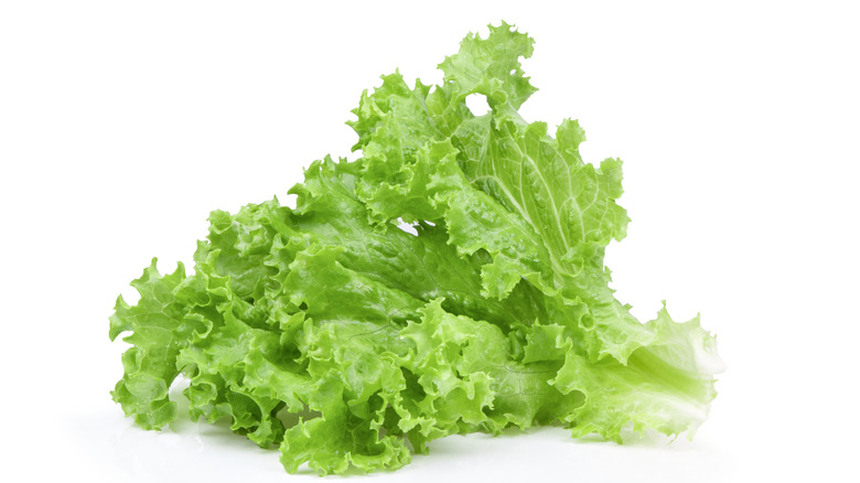 green lettuce