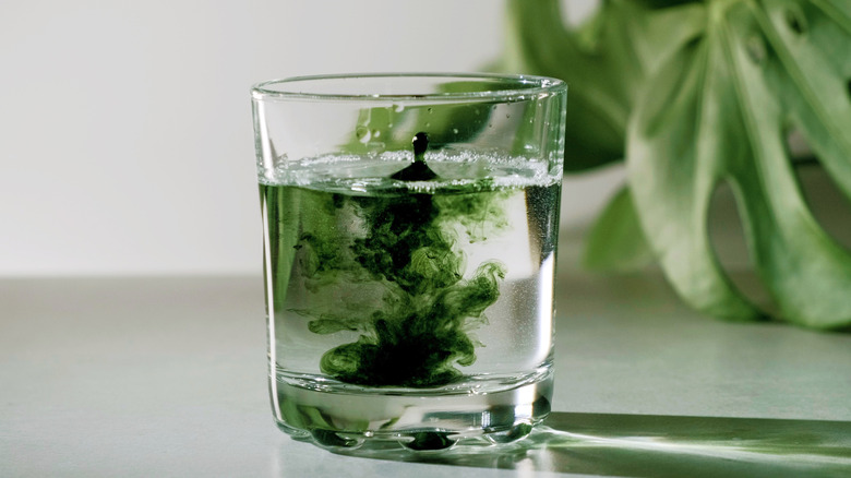 green liquid chlorophyll in glass of water