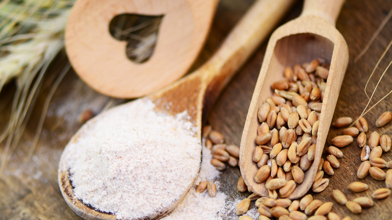 spelt flour and farro grain