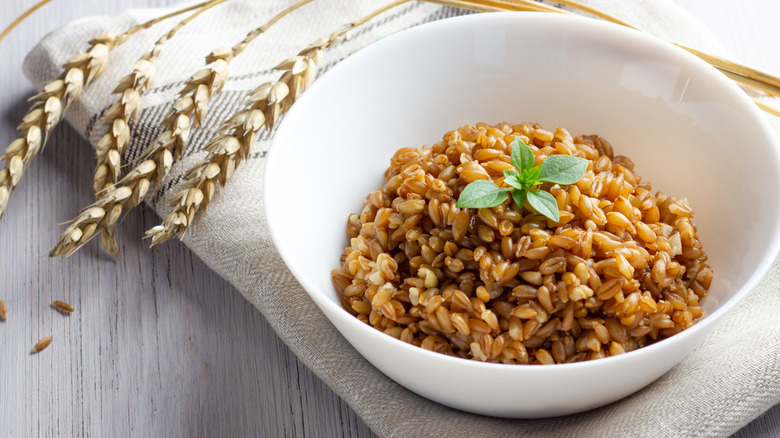 bowl of cooked farro