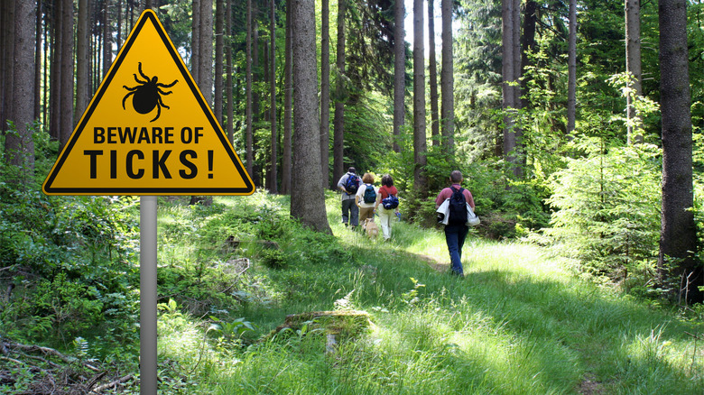 a sign in the foreground that says beware of ticks with a woods and people in the background