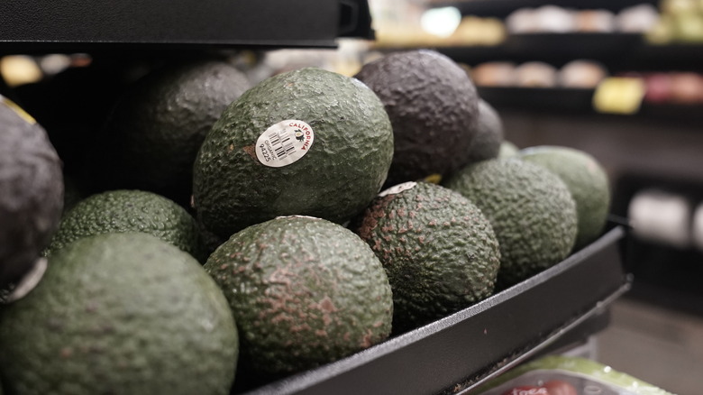 avocado in supermarket