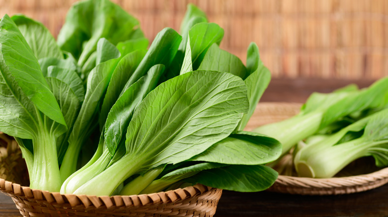 baby bok choy in a basket