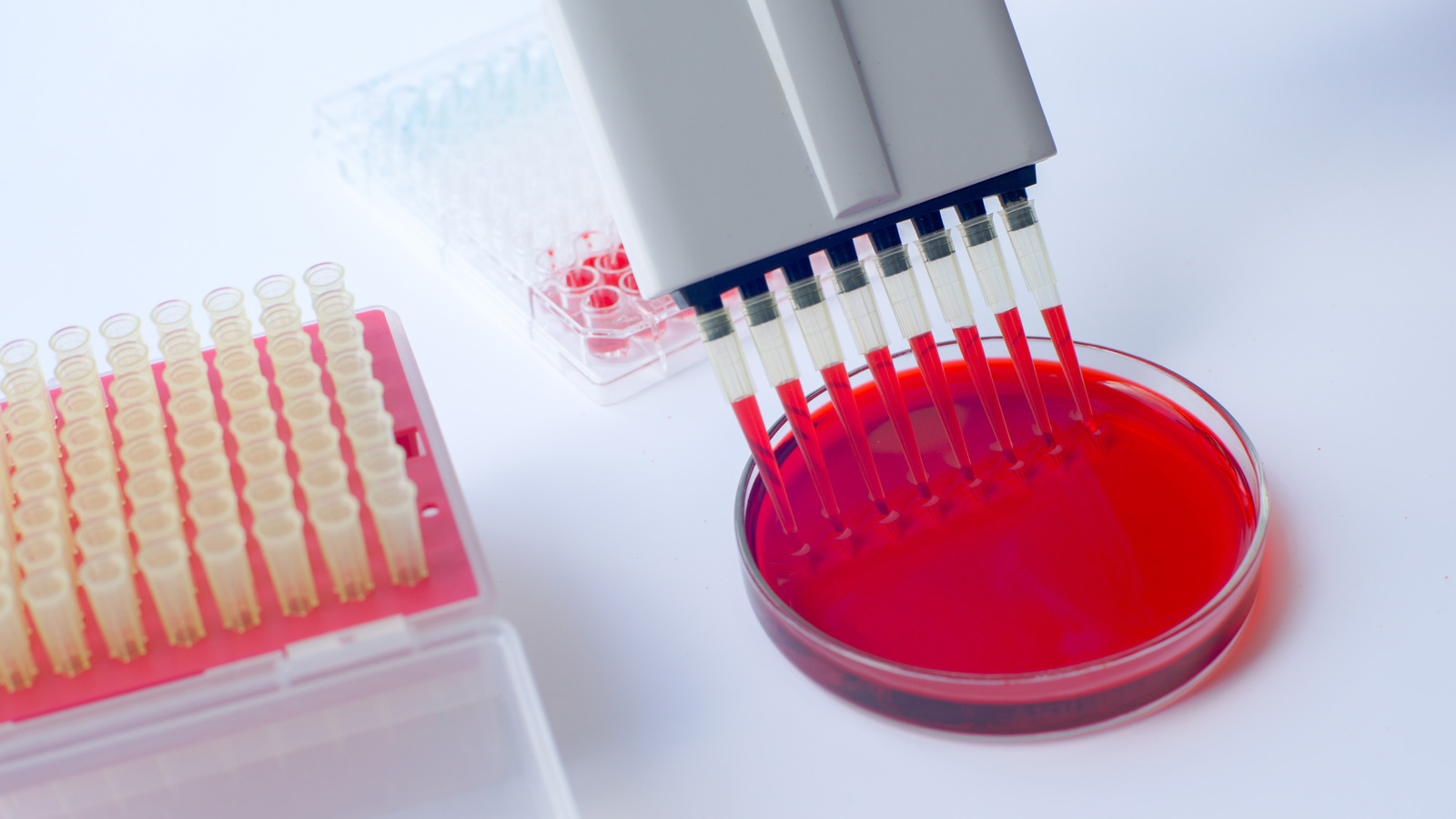 hemoglobin-versus-hematocrit-what-s-the-difference