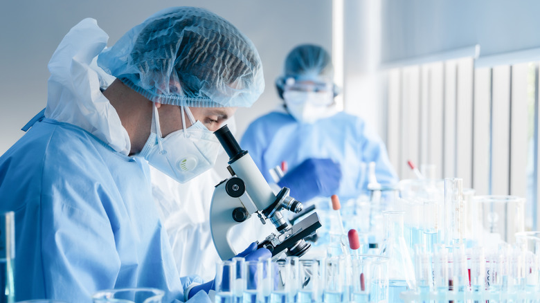 Researcher looking in a microscope