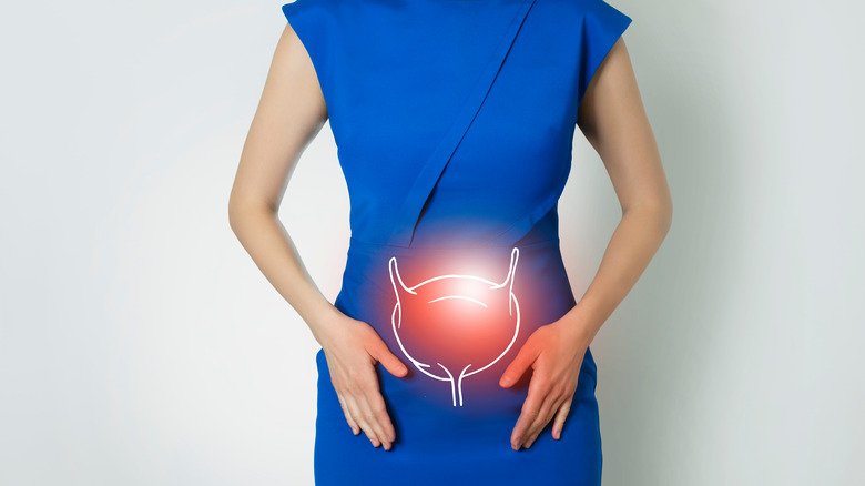 woman behind graphic visualization of bladder