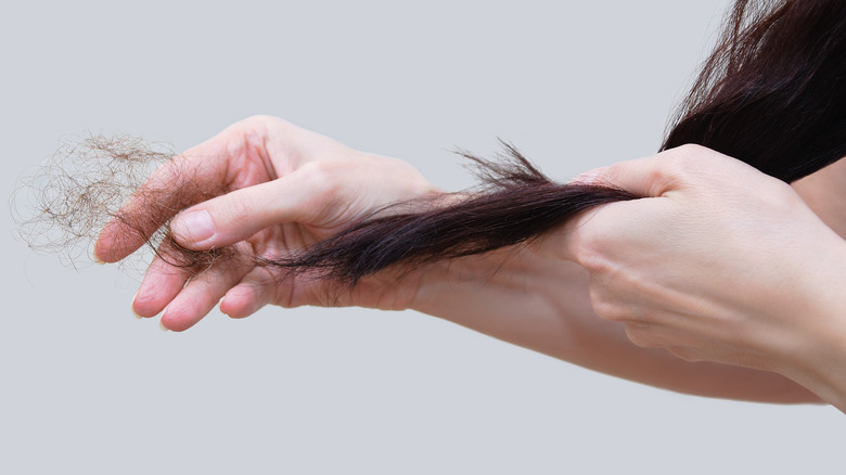 woman pulling away an excess amount of hair that has shed 
