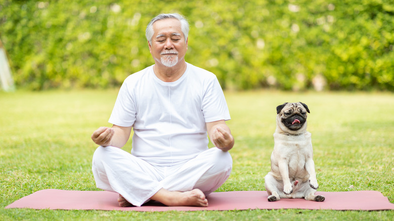 an elderly man practicing yoga with his dog 