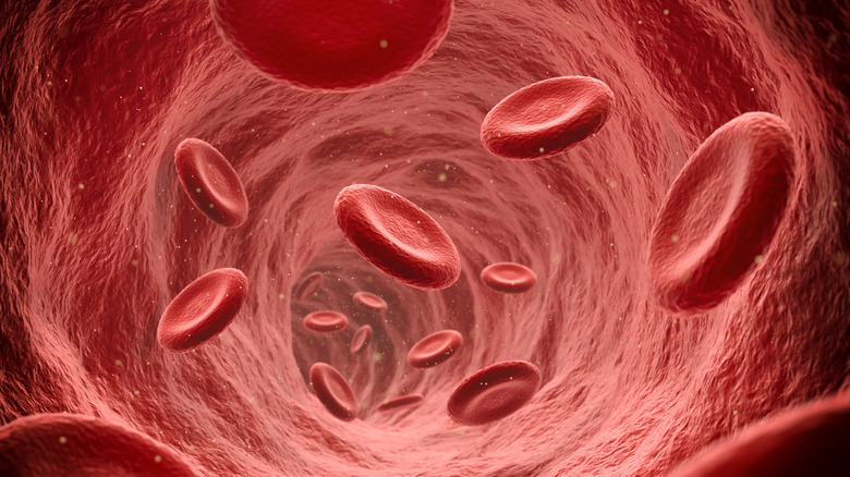 Flow of red blood cells