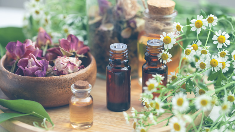 dried herbs and essential oil bottles
