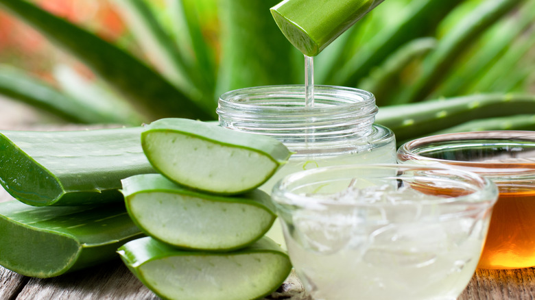 aloe vera gel close up