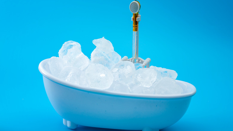 a tiny model bath tub filled with ice cubes