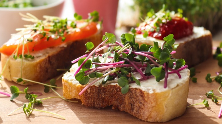 microgreens on bread