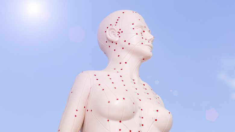 a model of a figure with meridians marked in red stands in front of clue sky