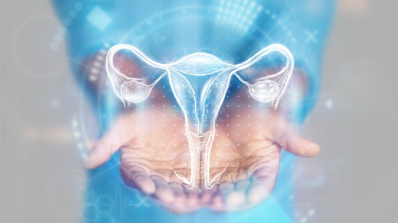 Hologram-style image of the female reproductive system