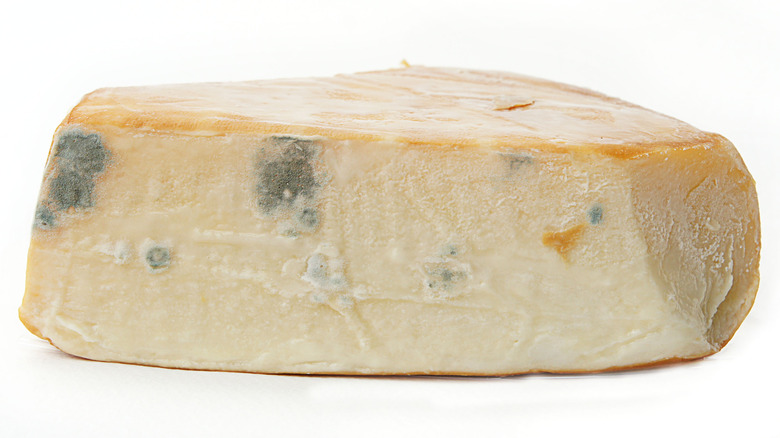 Chunk of moldy cheese 