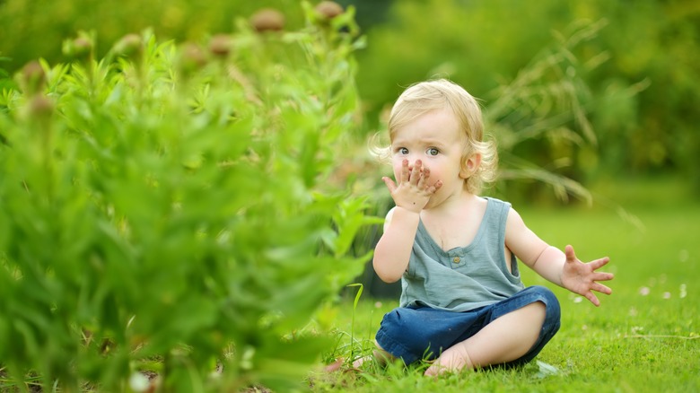 toddler eating soil