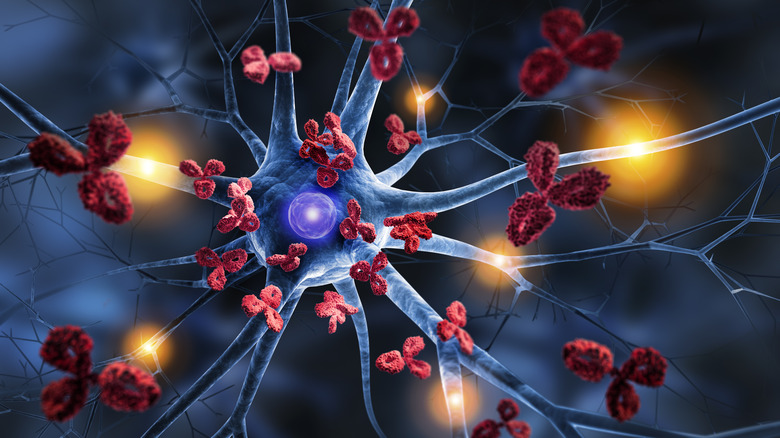 Closeup illustration of nerve cell attacked by antibodies