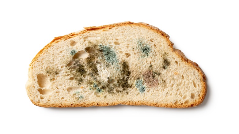 mold on bread