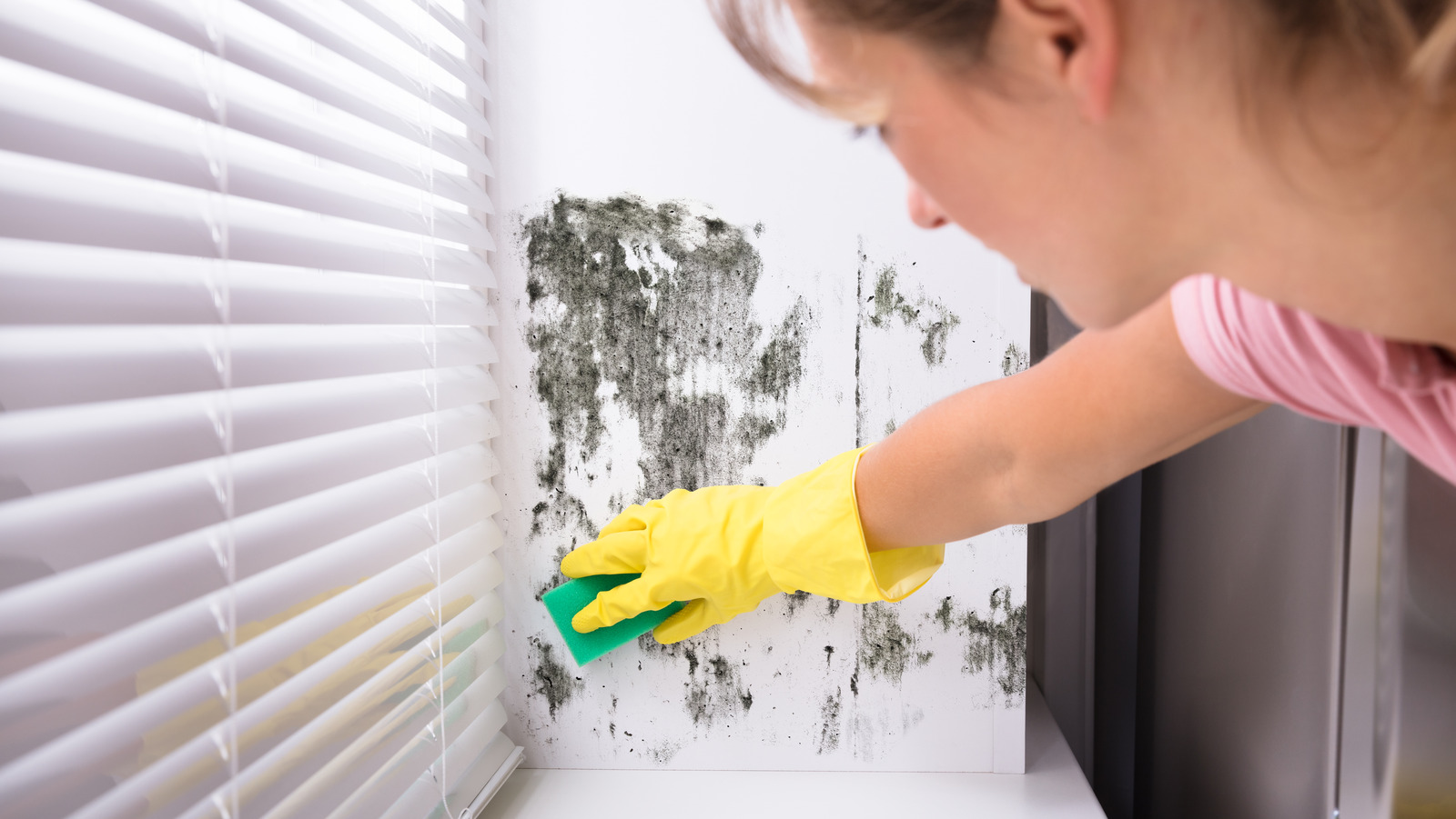 how-dangerous-is-black-mold-exposure-for-your-health