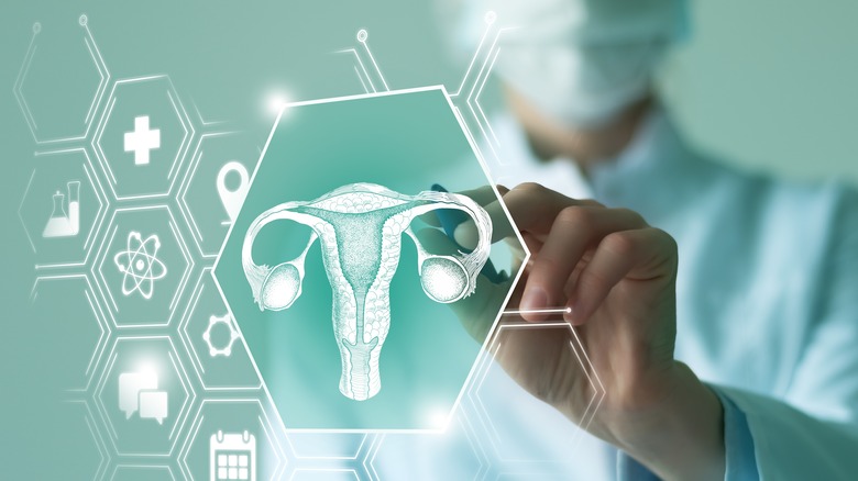hologram of a woman's uterus with doctor in background