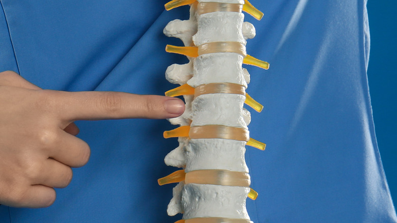 doctor pointing to spine