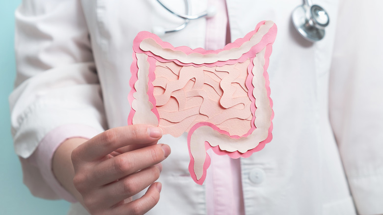 doctor holding image of gut microbiome