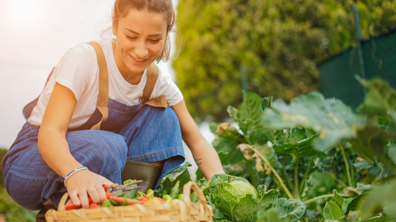 woman gardening