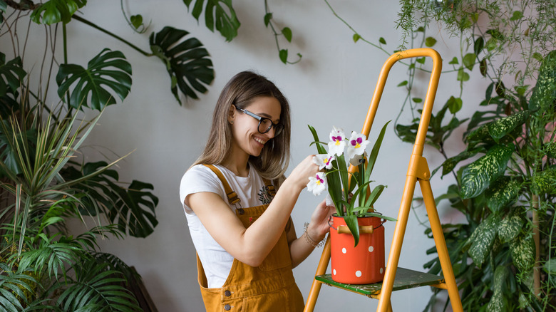 Woman gardener in glasses taking care of plants