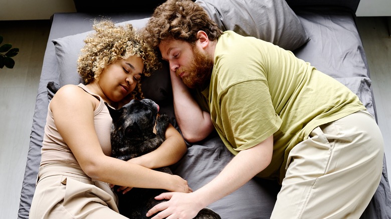 Couple cuddling with dog in bed