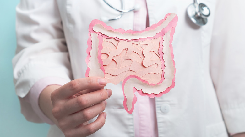 Doctor holding image of digestive tract