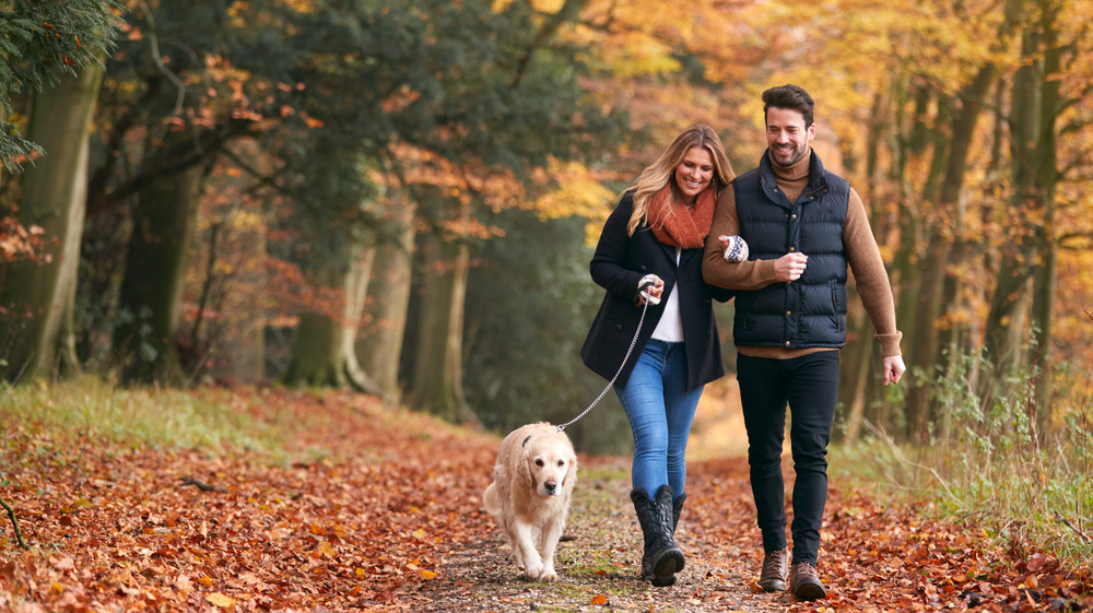 couple walking with a dog