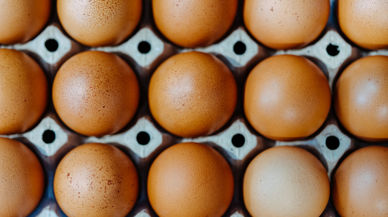 how-many-eggs-can-you-eat-on-the-paleo-diet