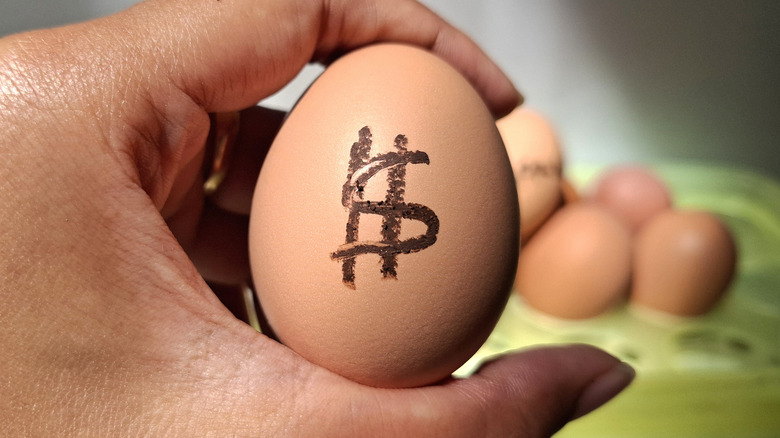 woman's hand holding egg with dollar sign on it