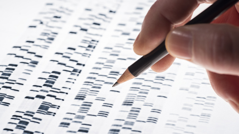 marking DNA sequencing with pencil 