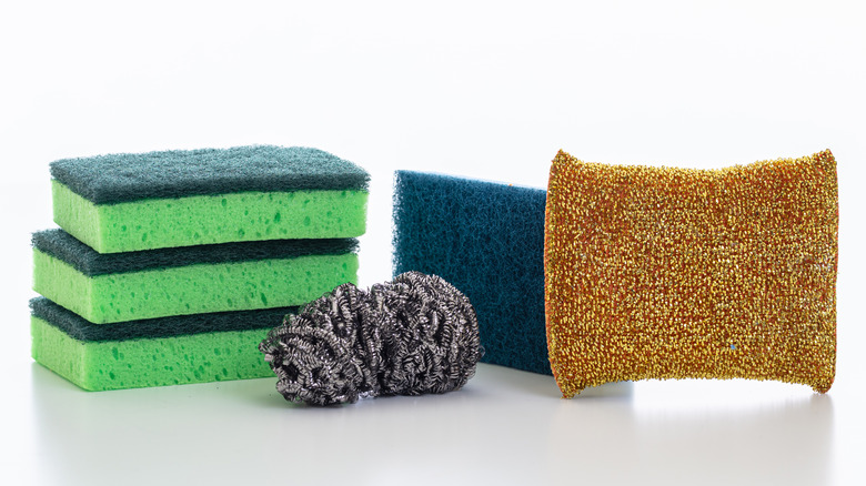 kitchen sponge variety