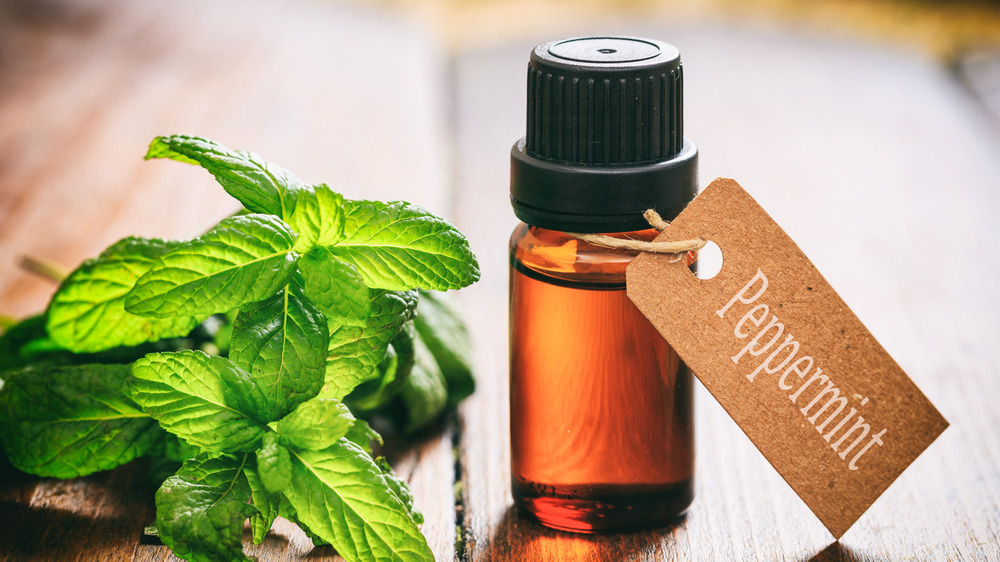 benefits of peppermint oil