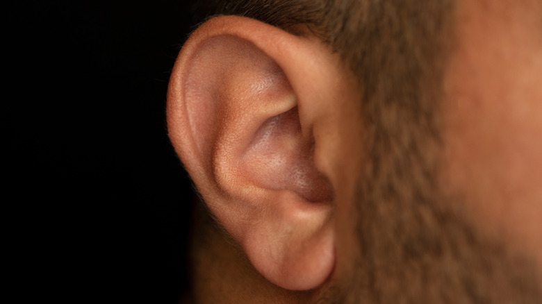 Close up of a man's left ear