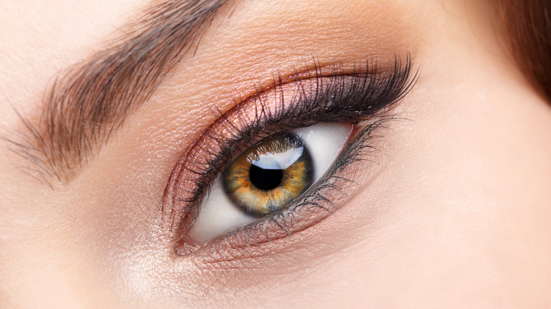 Close up of an eye with makeup