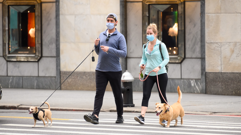 Walking dogs with masks