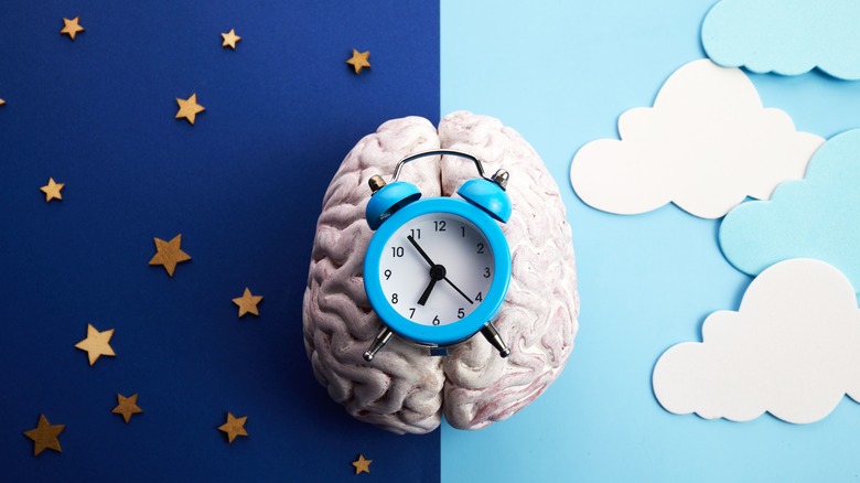 brain concept with clock