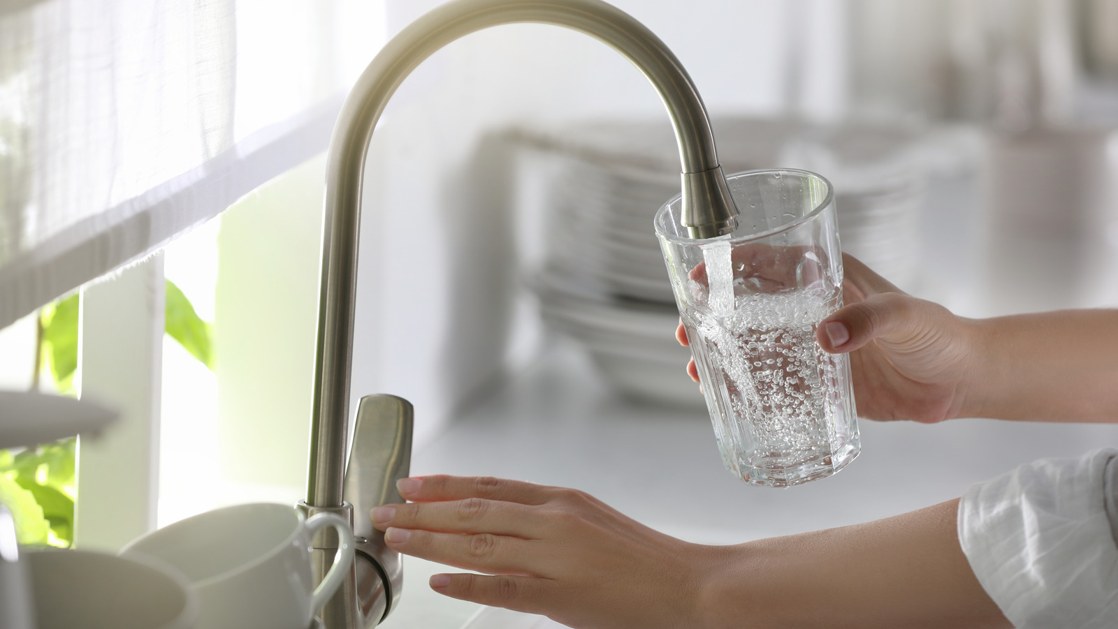 How To Filter Your Tap Water