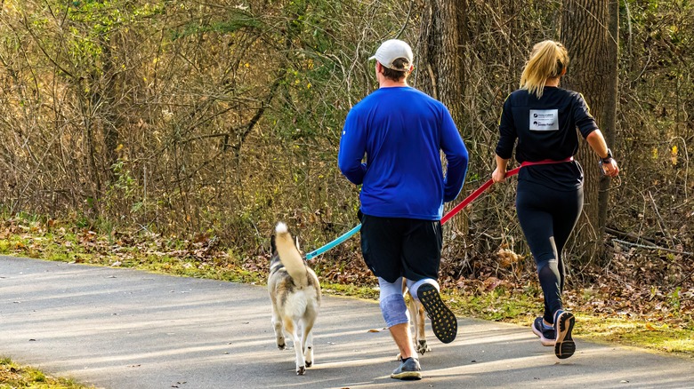 Couple jogging with their dog