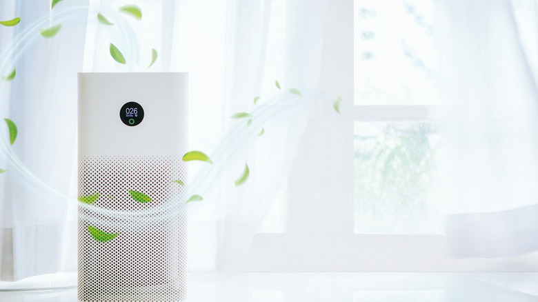 a humidifier in bedroom with leaves around it