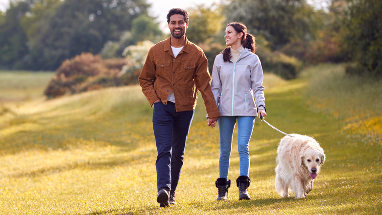a happy couple walking with their dog 