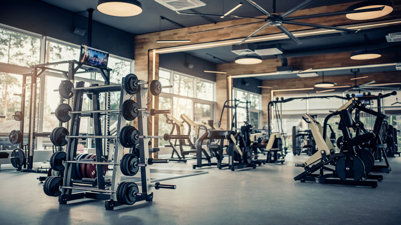 Barbells of different weight on rack in a gym