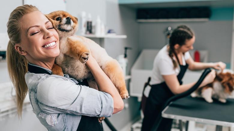 Two small dogs being pampered 