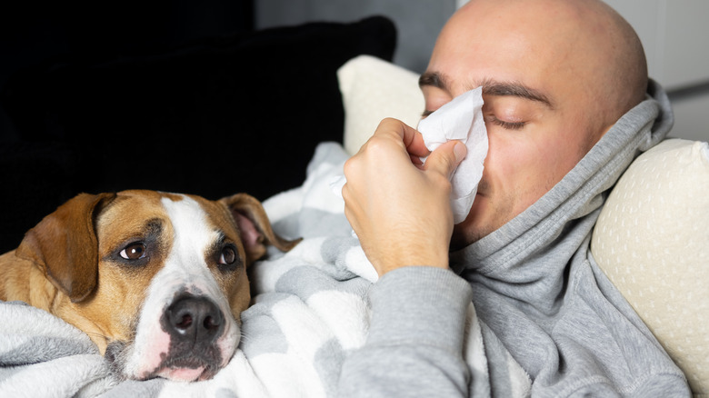 man blows nose in bed with dog