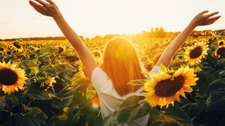 Woman standing in a field of sunflowers